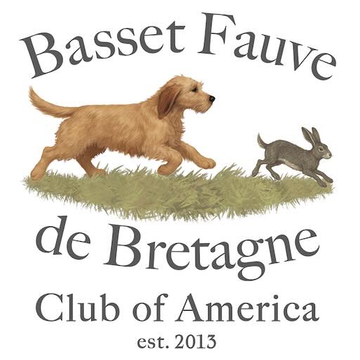 Basset Fauve dog chasing rabbit, club logo